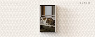 zobZCiMpJbQjJ581Yn2L.jpg?w=940&h=940