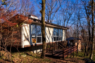 zoq0d7d9YazIN2X5s8Ji.jpg?w=940&h=940