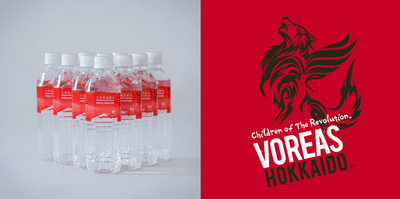 zq2lyLD9ibMcPXN6ECsX.png?w=940&h=940