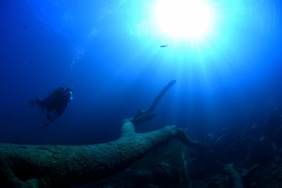 zqB3lYAzwuAvji0HWNms.jpg?w=940&h=940