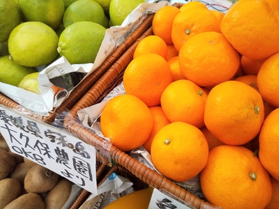 zqrFi85lGNYzdhn4tyG4.jpg?w=940&h=940