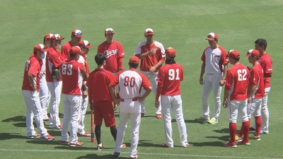 zr88ViaCeWjRTemKtlcG.jpg?w=940&h=940