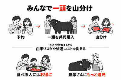 zrSnFF1ZQomhYNbfAFtM.png?w=940&h=940