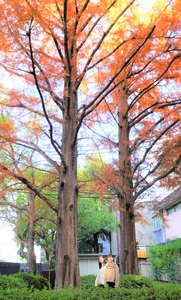 zrptm2bRF0bSXefyhxaN.jpg?w=940&h=940