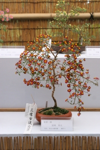 zuiKoRgscOS3c9oTxl83.jpg?w=940&h=940