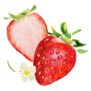 zvUdcDqUv2jjjbk0wLrl.png?w=940&h=940