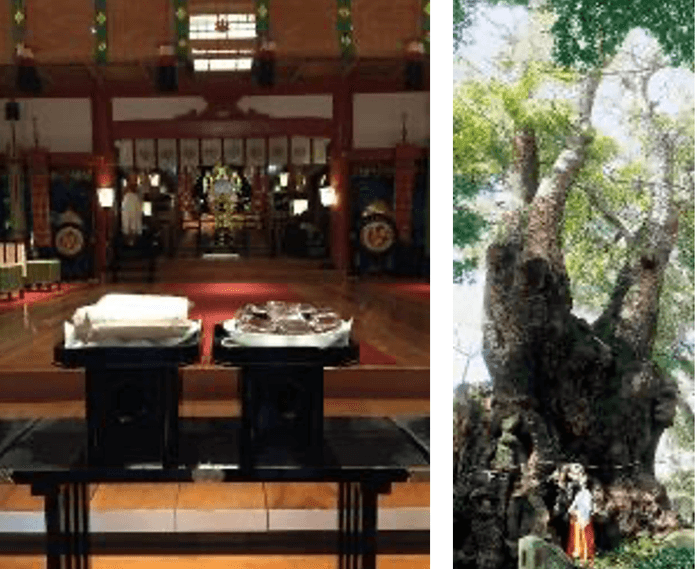 熱海の來宮神社