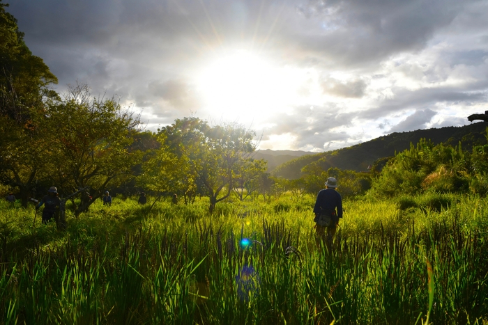 映画「杜人」より
