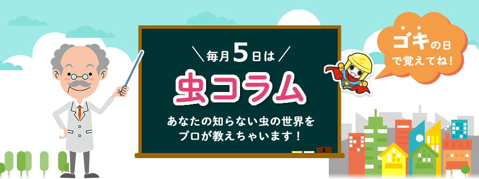 株式会社タニサケ