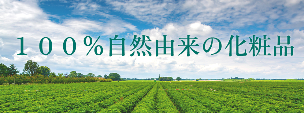 シナリー株式会社