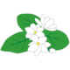 ICHIGOICHIE CONSULTING, INC.