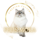 サイベリアン＆ネヴァマスカレードキャッテリー【Felis Moka】
