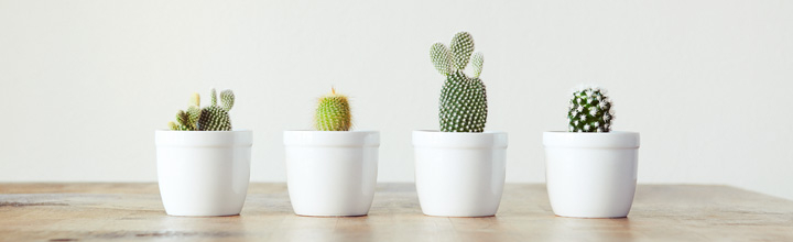 株式会社かんき出版のプレスリリース(最終配信日:2023年12月06日 10時00分)