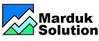 有限会社マルドゥック・ソリューション