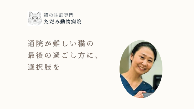 ただみ動物病院