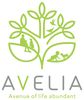 株式会社AVELIA