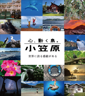 小笠原村観光局