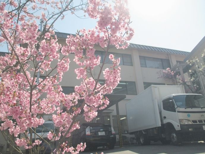 株式会社マック