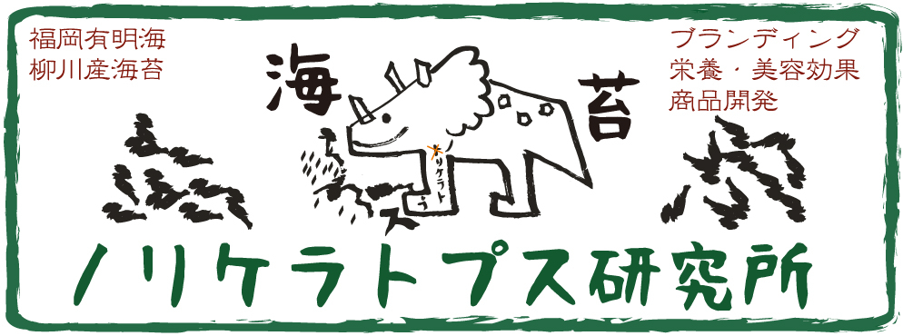 ノリケラトプス研究所