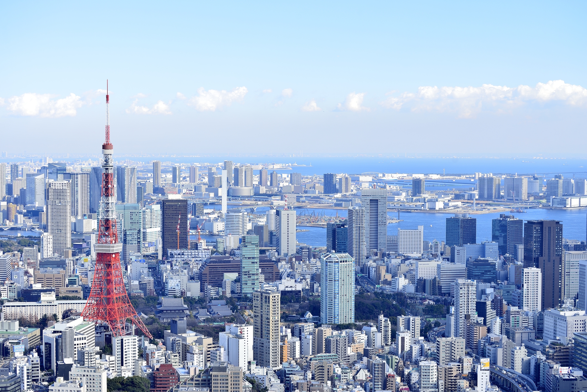 NTTセキュリティ株式会社
