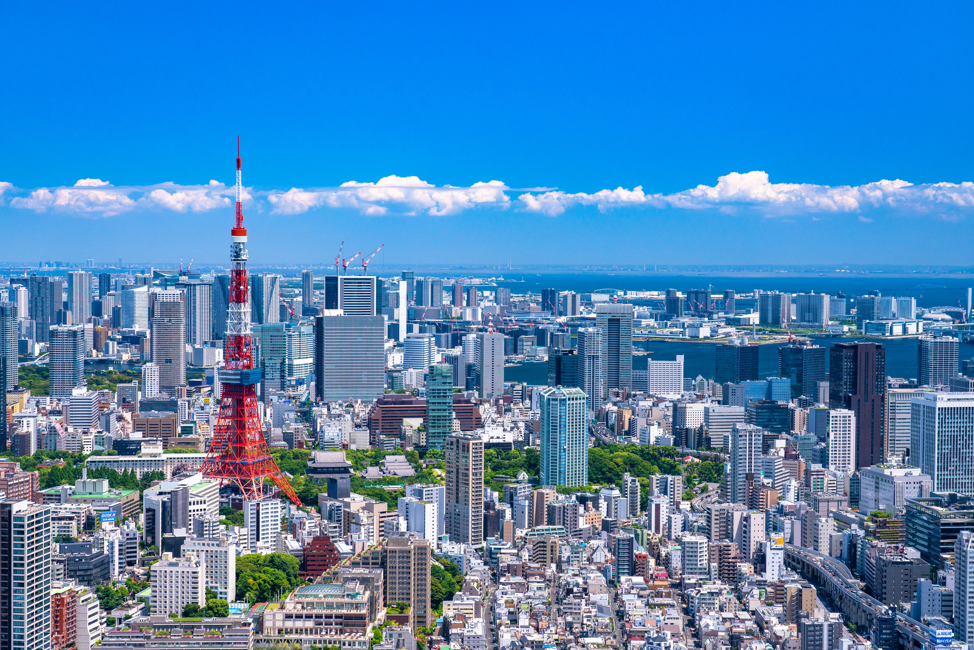 一般社団法人ライセンシングインターナショナルジャパン