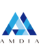 株式会社AMDIA