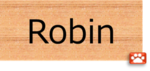 ロビン株式会社