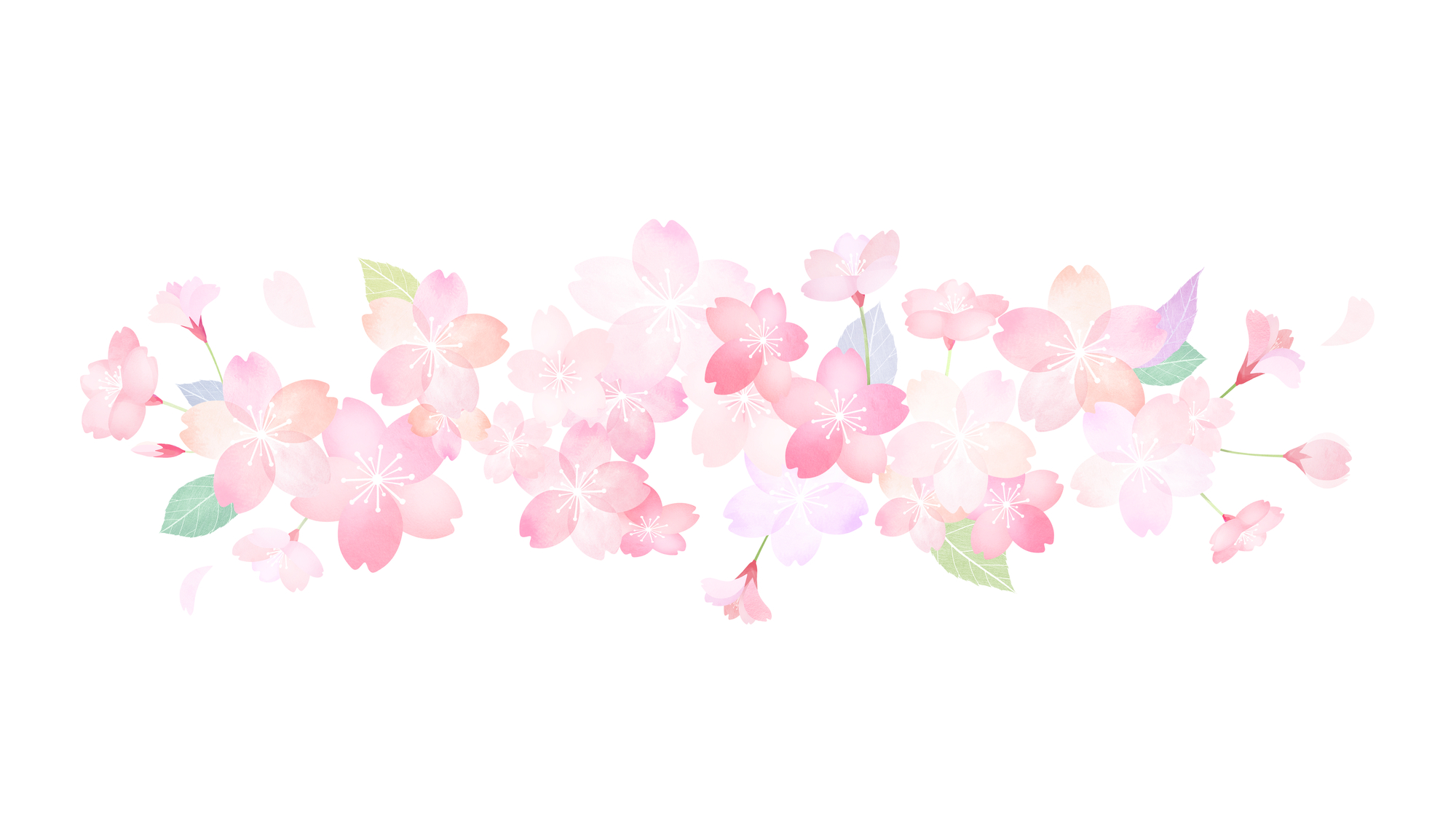 株式会社Viola