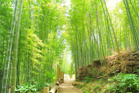 natural life plan 合同会社
