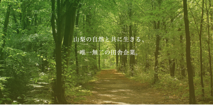 合同会社ズーモア
