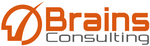 ブレインズコンサルティング株式会社