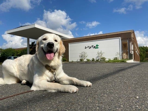 社会福祉法人 日本介助犬協会