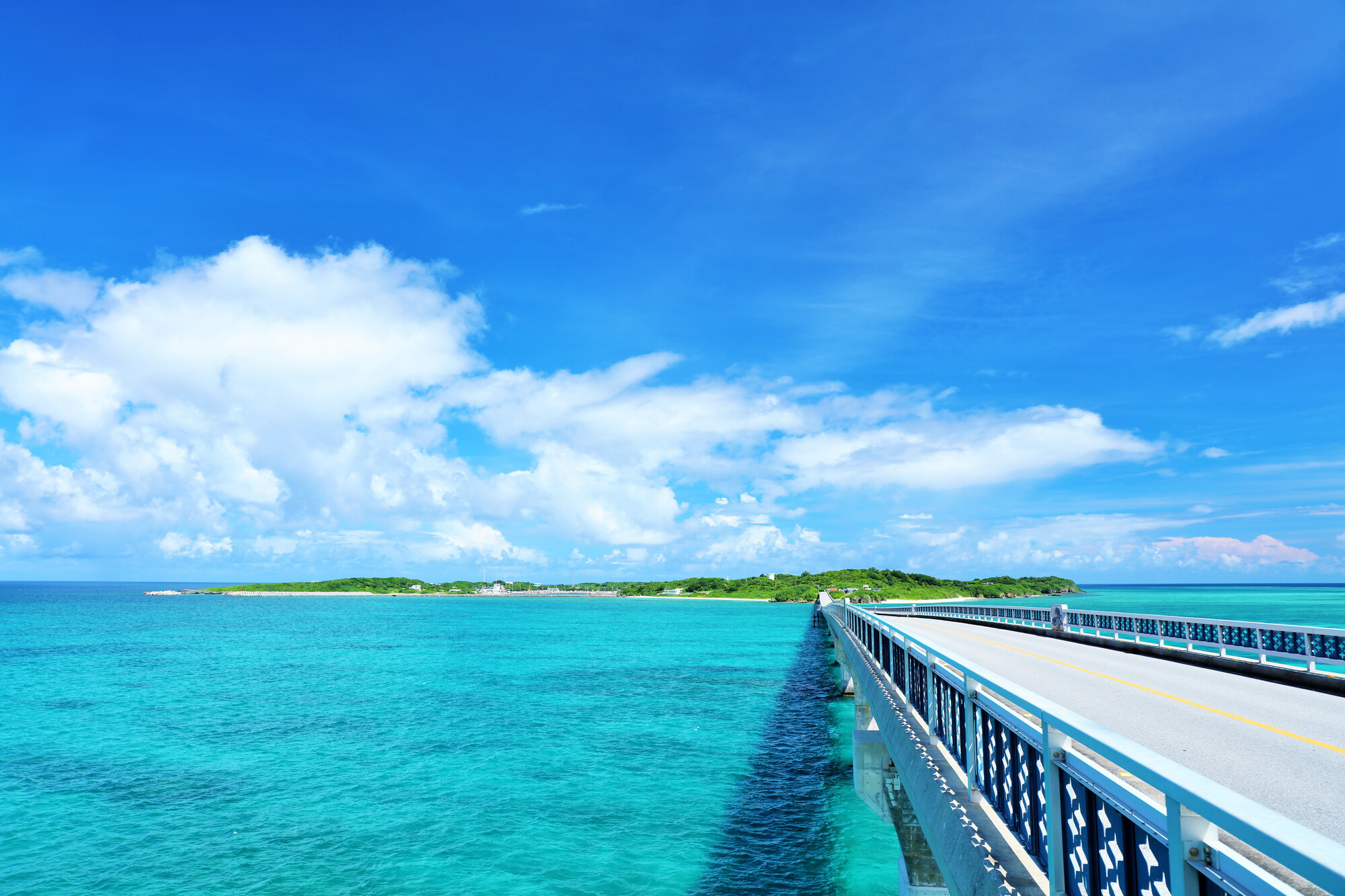 株式会社D2T