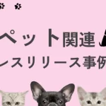 ペット関連のプレスリリース事例集｜書き方で良かったポイントも解説