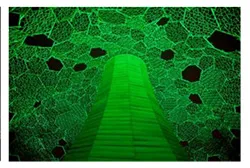 六甲山光のアート2