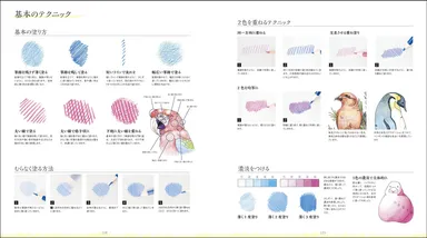 基本のテクニック