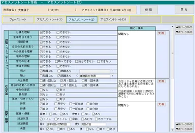 アセスメントシート(2)