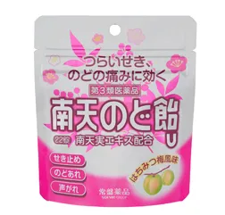 南天のど飴　はちみつ梅風味（パウチ）