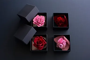 みつぼし 全商品