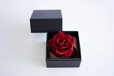 みつぼし ラヴィアンローズ(レッド)