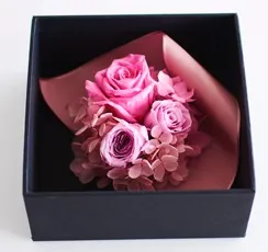 みつぼし カドーカレ(ピンク)