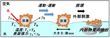 新物質運搬技術の仕組み