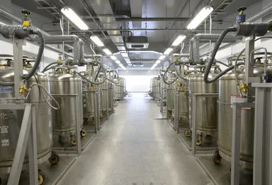 国内最大級・ステムセル研究所の細胞保管施設