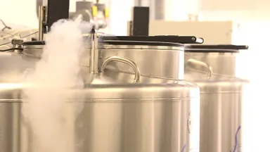 さい帯血保管タンク