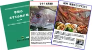 季節のおすすめ魚介類 無料レポート  イメージ