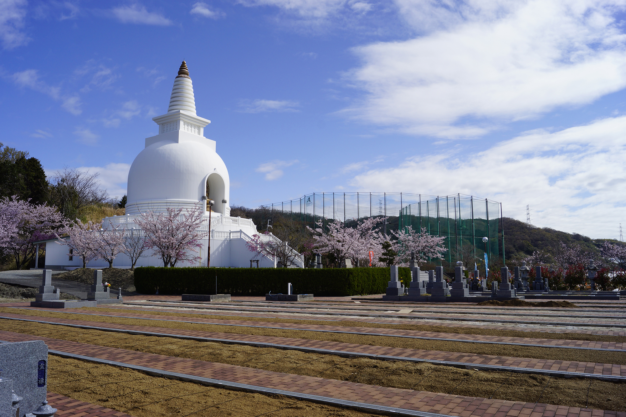 大阪・仏舎利塔内 幅58mの壁面に「四神」を描く! 今琳派・木村 大阪・仏舎利塔内 幅58mの壁面に「四神」を描く! 今琳派・木村