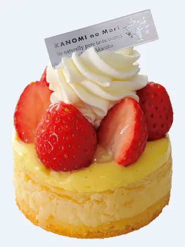 【明治記念館　菓乃実の杜(銀座三越)】ソイフロマージュ