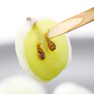 ひとつぶのマスカット3