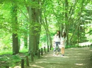 六甲高山植物園