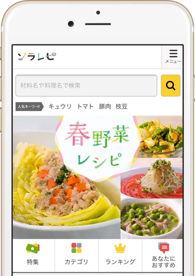ソラレピWEBイメージ